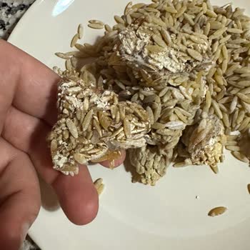 Nuh'un Ankara Makarnası Küflü Arpa Şehriye: Sağlık Riski Ve Müşteri Hizmetlerinde İlgisizlik