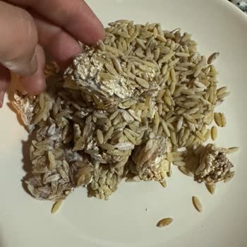 Nuh'un Ankara Makarnası Küflü Arpa Şehriye: Sağlık Riski Ve Müşteri Hizmetlerinde İlgisizlik