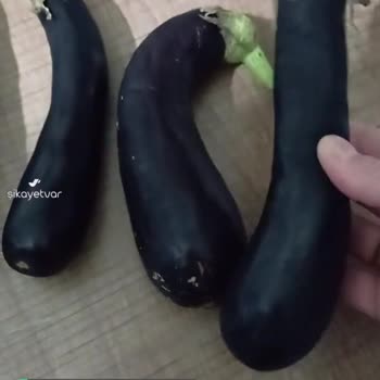 Şok Marketler Sebze Ezik Bir Şekilde Gönderiliyor