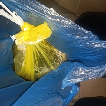 Protex Çöp Poşetleri Sürekli Sızdırıyor, Hijyen Sorunu Yaşıyorum