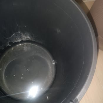 Protex Çöp Poşetleri Sürekli Sızdırıyor, Hijyen Sorunu Yaşıyorum