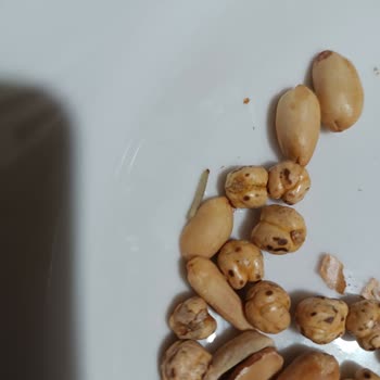 Aldığım Kuruyemişin İçinden Kurtlar Çıktı Hijyen Konusunda Endişeliyim