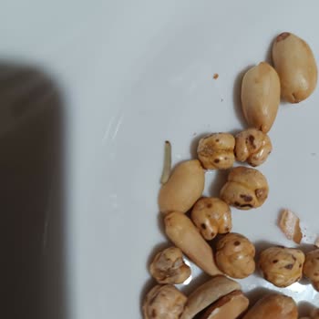 Aldığım Kuruyemişin İçinden Kurtlar Çıktı Hijyen Konusunda Endişeliyim