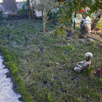 Yüksek Gerilim Hattı Nedeniyle Çıkan Yangında Oluşan Zararım Karşılanmıyor