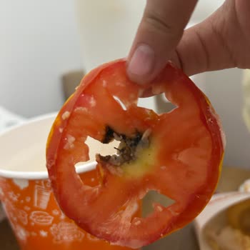 Bozuk Ürün Ve Yetersiz Destek: Ücret İadesi Talebim Karşılanmadı