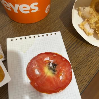 Bozuk Ürün Ve Yetersiz Destek: Ücret İadesi Talebim Karşılanmadı