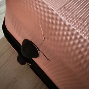 Türk Hava Yolları Valizimi Kırık Teslim Etti Mağdur Oldum