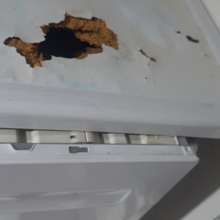 Kurutma Makinesinin Üst Kısmındaki Hasar Garanti Kapsamında Değerlendirilmiyor