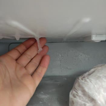 Bosch Buzdolabı Buzluk Kısmı Sürekli Arızalanıyor Değişim Talep Ediyorum