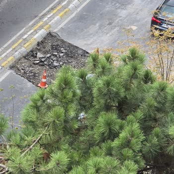 İzinsiz Yol Çalışması Nedeniyle Trafik Ve Çevre Mağduriyeti