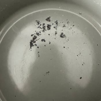 Neoflam Fika Tencere Kısa Sürede Soyuldu Ve Kullanılamaz Hale Geldi