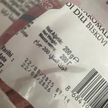 Son Kullanma Tarihine Rağmen Küflü Kedi Diliyle Karşılaştım