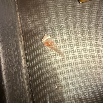 Healthy & Happy İçinden Plastik Çıktı