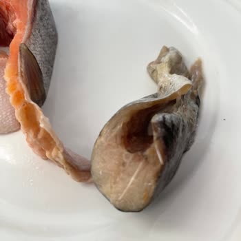 Paketli Somon Balığında Çürük Dilim Ve Kötü Koku Şoku