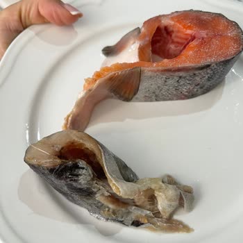 Paketli Somon Balığında Çürük Dilim Ve Kötü Koku Şoku