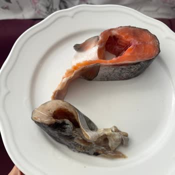 Paketli Somon Balığında Çürük Dilim Ve Kötü Koku Şoku