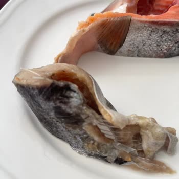 Paketli Somon Balığında Çürük Dilim Ve Kötü Koku Şoku