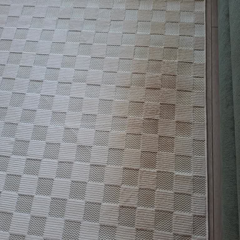 Yıkanmayan Halı Ve İletişimsizlik Nedeniyle Mağduriyet