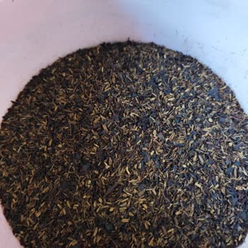 Eyfel Çay İçinde Neredeyse Tamamen Sap Ve Çöp Var