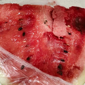 Vestel Buzdolabı 1 Yıl Dolmadan İki Kez Arıza Yaptı, Çözüm Sunulmuyor