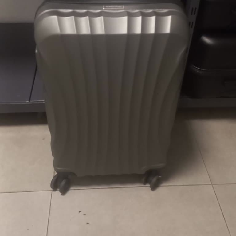 Pegasus Lost Suitcase - No Response