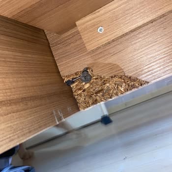 Montaj Hatası Nedeniyle Karyola Ayağı Kırıldı, Garanti Kapsamında Çözüm Talebi