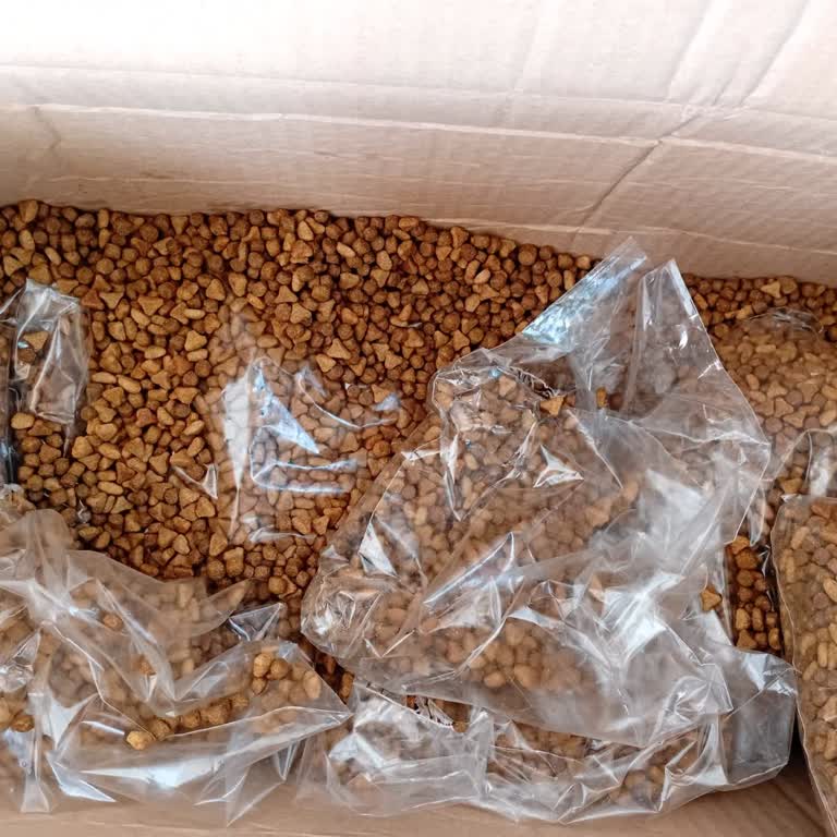 Eksik Ve Hasarlı Kedi Maması, Müşteri Hizmetlerine Ulaşamıyorum