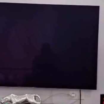 Samsung Oled TV' de Ses Var Görüntü Yok!
