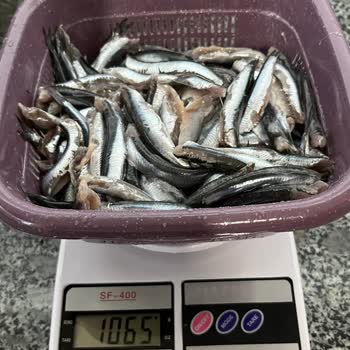 Özsağdıçlar Eksik Ürün Verildi