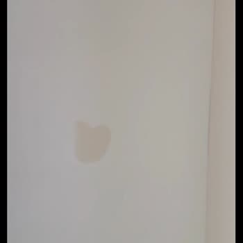 Yanlış Ve Lekeli Ürün, İlgisiz Mağaza: Mağduriyetimin Giderilmesini İstiyorum