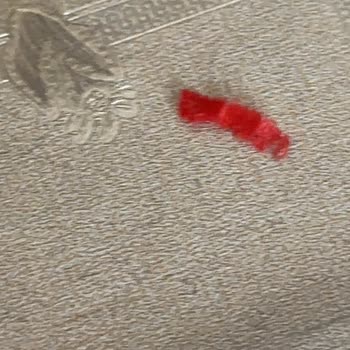Konserve Mantarın İçinden Plastik Parça Çıktı: Sağlık Riski!