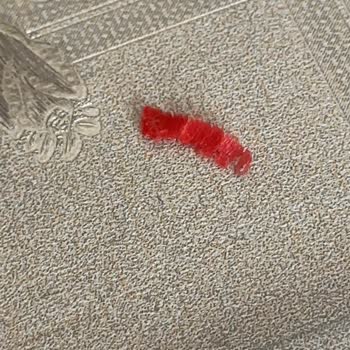 Konserve Mantarın İçinden Plastik Parça Çıktı: Sağlık Riski!