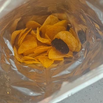 Cipsin İçinden Çıkan Yanmış Cisim Nedeniyle Sağlık Endişesi Ve Hayal Kırıklığı Yaşadım