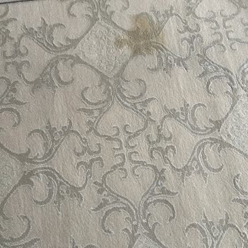 Halı Temizliği Sonrası Leke Sorunu Ve Olumsuz Müşteri Hizmeti