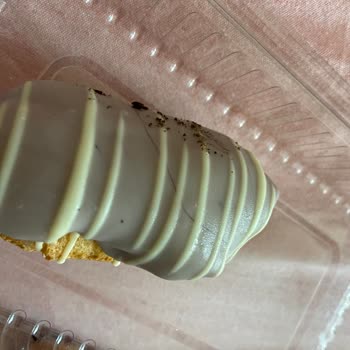 Yemeksepeti Siparişimde Saç Çıktı, Yetersiz İade Ve Kötü Hizmet