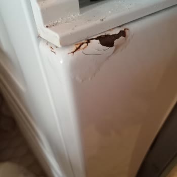 Beko Çamaşır Makinesi Deterjan Kapağında Garanti Kapsamında Paslanma Ve Boya Atması Sorunu