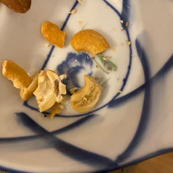 Gürtat Mandıra Ve Şarküteri Kuruyemişten Kurt Çıktı!