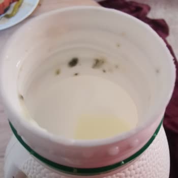 Ayranın İçinde Yeşil Maddeler Ve Bozuk Tat Sorunu