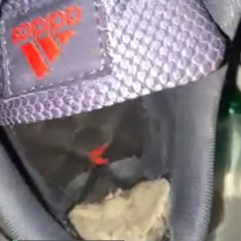 Adidas Ayakkabı Değişim Talebi