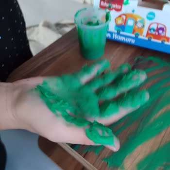 Fisher Price Oyun Hamurunda Sulu Ve Yapışkan Renkler Sorunu