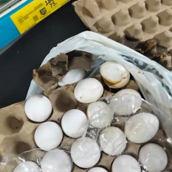 Son Kullanma Tarihi Geçmiş Ve Küflü Yumurta Satışı