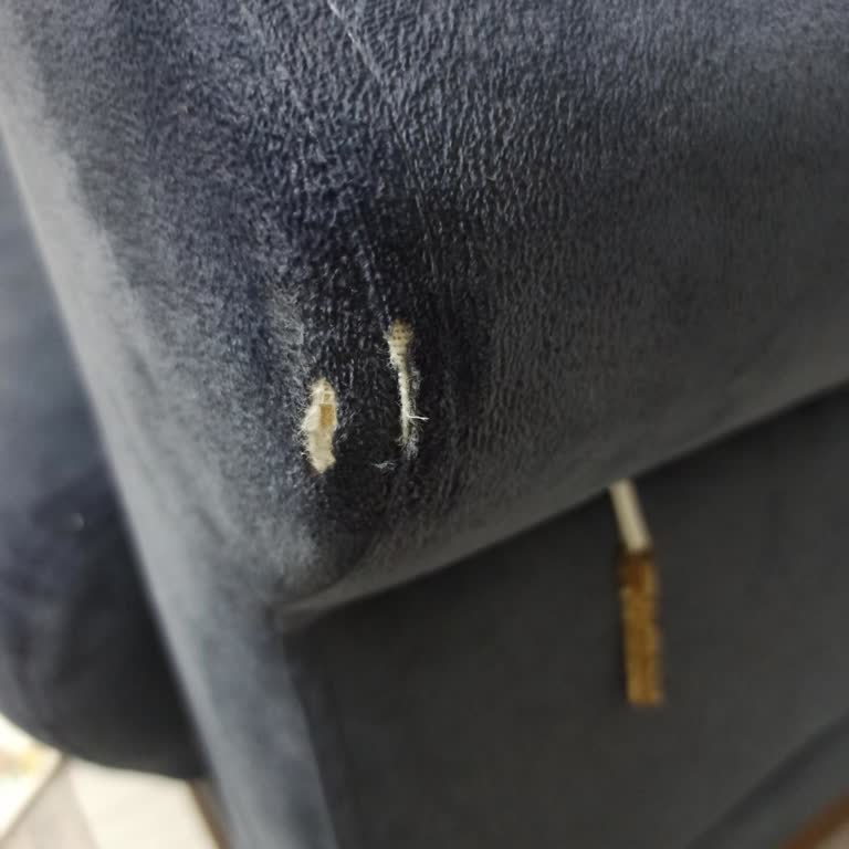 Koltuk Takımımın Kumaşı Yırtıldı, Çözüm Bekliyorum