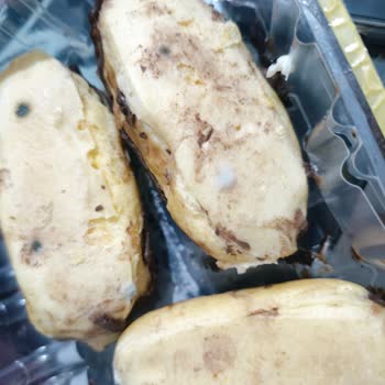 BİM'den Alınan Osmanoğlu Çikolatalı Ekler Küflü Çıktı, Mağduriyet Yaşadım