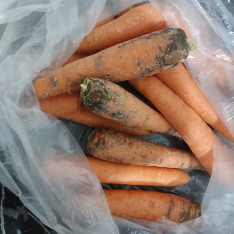 Çürük Havuç Teslimatı Ve Müşteri Hizmetlerine Ulaşılamaması