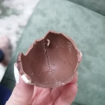 Aldığım Yumurtadan Canlı Kurtlar Çıktı, Çocuğumun Sağlığı Tehlikeye Girdi