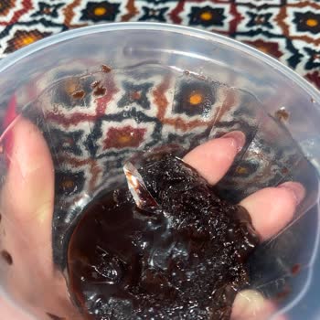 Sufleden Ambalaj Parçası Çıkması Hijyen Endişesi Yarattı