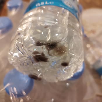 Sural Su Paketlerinde Küf Oluşumu Ve Değişim Talebiyle Mağduriyet Yaşadım