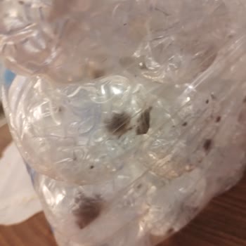 Sural Su Paketlerinde Küf Oluşumu Ve Değişim Talebiyle Mağduriyet Yaşadım