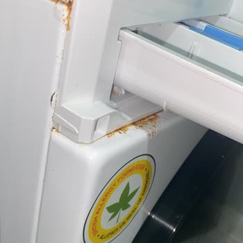 Vestel Çamaşır Makinesinde Paslanma, Küf Ve Koku Sorunu Yaşıyorum