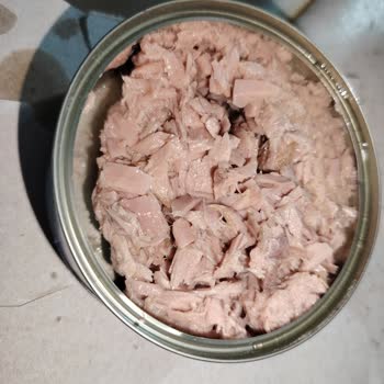 Tarım Kredi Market Ton Balığında Sürekli Eksik Gramaj Sorunu Ve İade Talebi